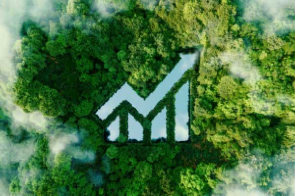 沃伦·巴菲特在过去60年里如何击败标准普尔500指数